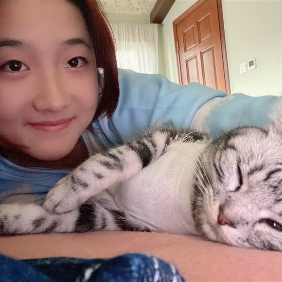 KK Animal Hospital(荣祥广场店):北京城区顺义区国展附近