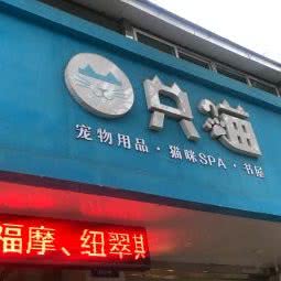 一只猫:淮安市淮阴区承德北路附近
