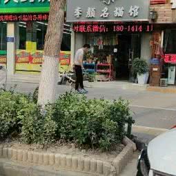 李颜名猫馆:淮安市清江浦区健康西路附近