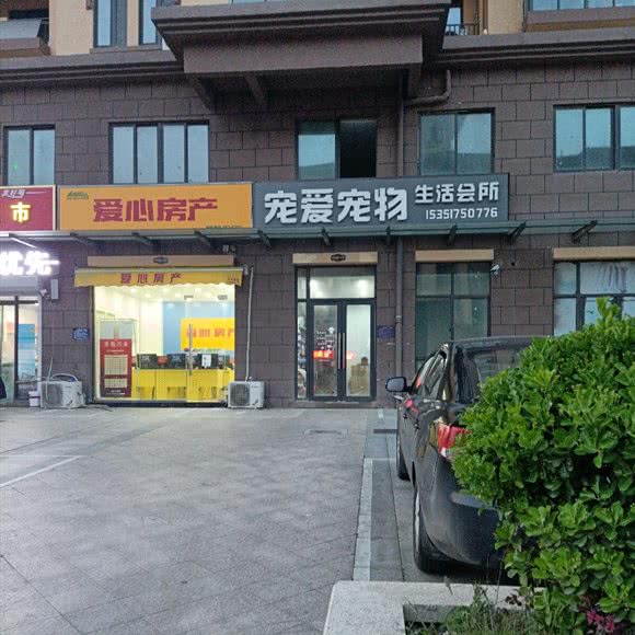 宠爱狗狗:淮安市清江浦区开发区附近