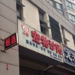 小田宠物诊所:盐城市亭湖区文港路附近