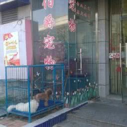 伯爵宠物生活馆:盐城市亭湖区大庆路附近
