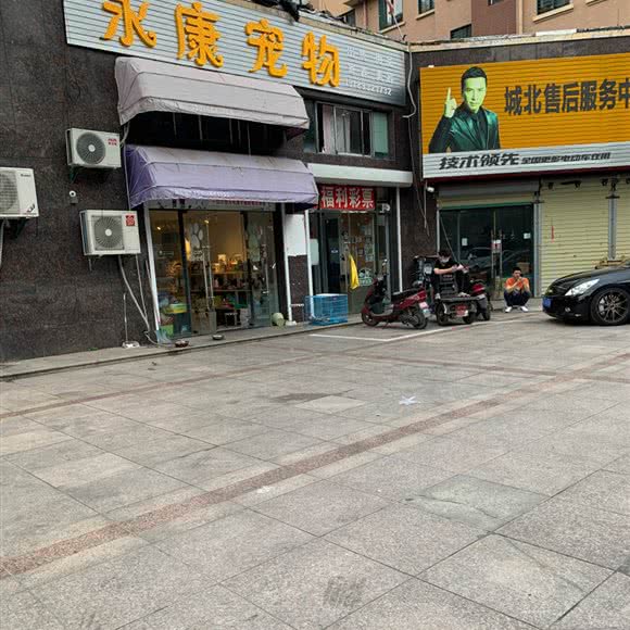 永康宠物:盐城市亭湖区黄海路附近