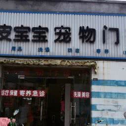 顽皮宝宝宠物门诊:盐城市亭湖区黄海路附近
