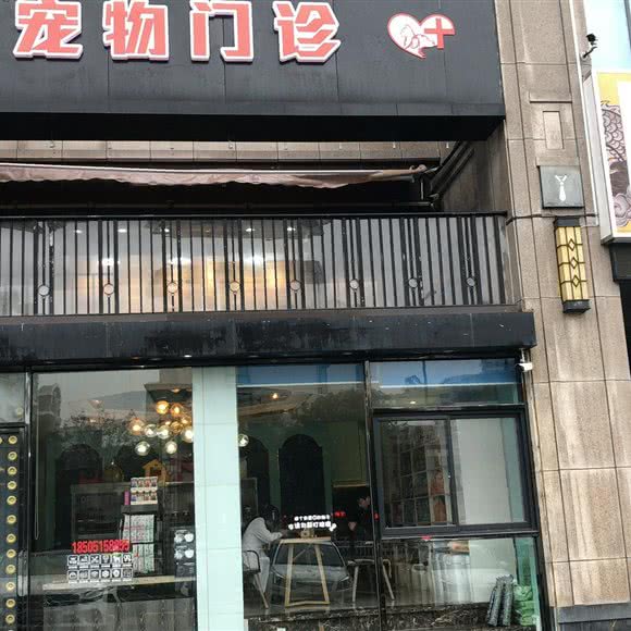 宠爱宠物医院:盐城市盐都区解放南路附近