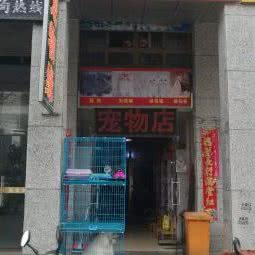 狗狗缘:盐城市盐都区西环路附近