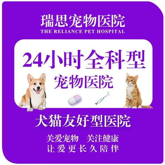 瑞思宠物医院(开元路总院):盐城市盐都区开元路附近