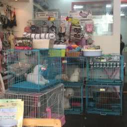酷派宠物馆(望月路步行街店):扬州市邗江区文汇西路附近