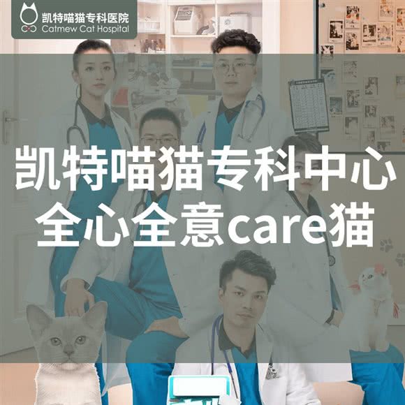 戴安娜喵猫专科医院:扬州市邗江区望月路附近