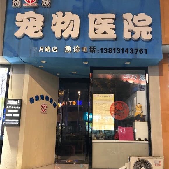 扬城宠物医院(望月路店):扬州市邗江区望月路附近