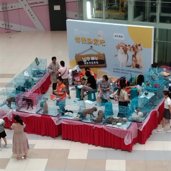 带我回家吧:扬州市邗江区汊河汇金谷附近
