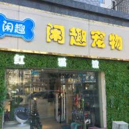 闲趣狗狗:扬州市邗江区梅岭附近