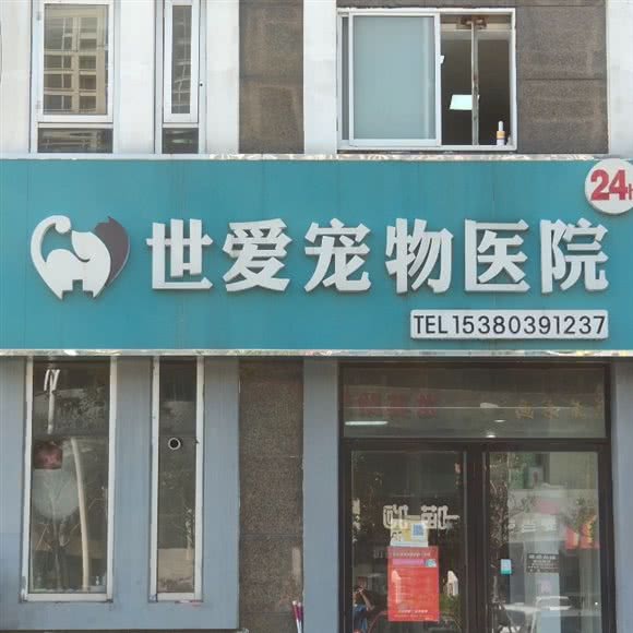 世爱宠物医院:扬州市邗江区京华城附近