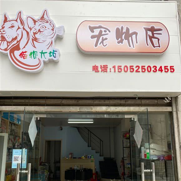 猫狗大站宠物店:扬州市邗江区扬子江路附近
