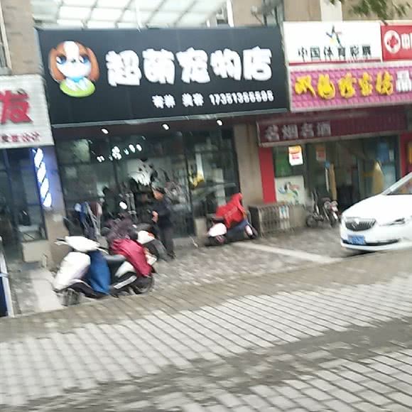 超萌宠物店:扬州市邗江区翠岗附近