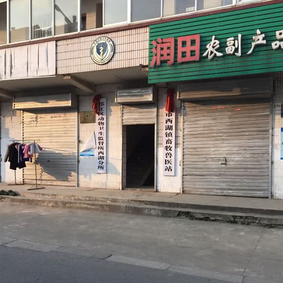 扬州市西湖镇畜牧兽医站:扬州市邗江区西湖镇附近