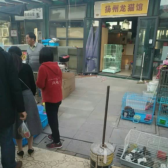 扬州龙猫馆:扬州市邗江区竹西御龙湾商业广场附近
