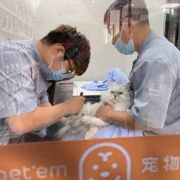 宠物家(中海国际公馆店):北京城区顺义区顺义附近