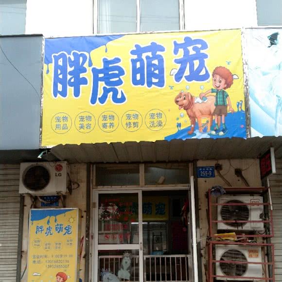 胖虎萌宠:镇江市京口区江滨路/东吴路附近