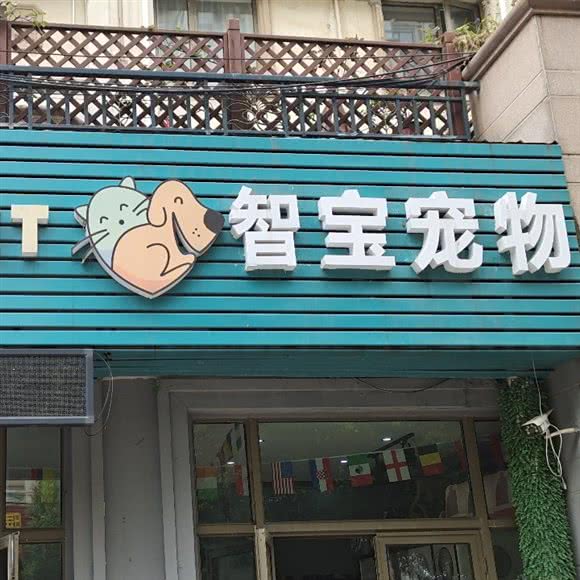 智宝狗狗:镇江市京口区江苏大学附近