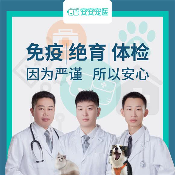 安安宠医(凤凰广场分院):镇江市京口区红豆广场/东吴路附近