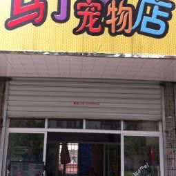 马丁宠物狗:镇江市润州区三茅宫附近
