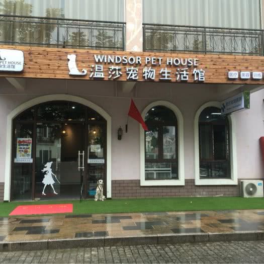 温莎宠物医院:泰州市海陵区高新区附近