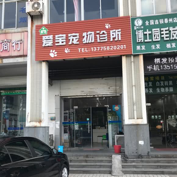 爱宝宠物狗诊所:泰州市海陵区活力城附近