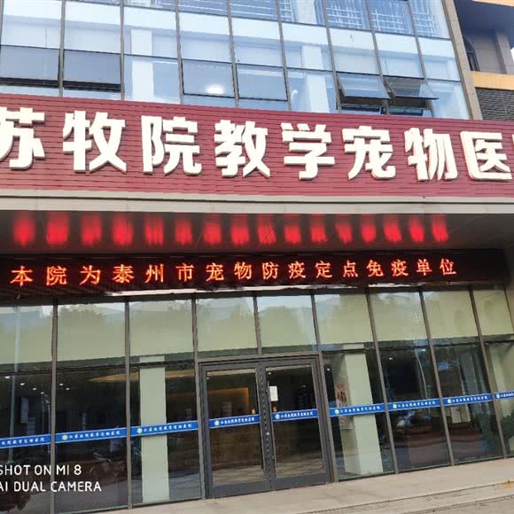 江苏牧院教学宠物医院:泰州市海陵区市中心商业区附近