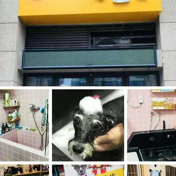 九月麻麻的宠物店:泰州市海陵区泰州汽车客运西站附近
