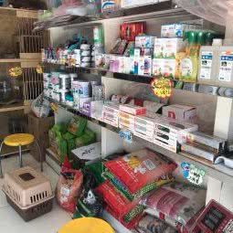酷迪宠物(国泰宏城店):北京城区顺义区顺义附近