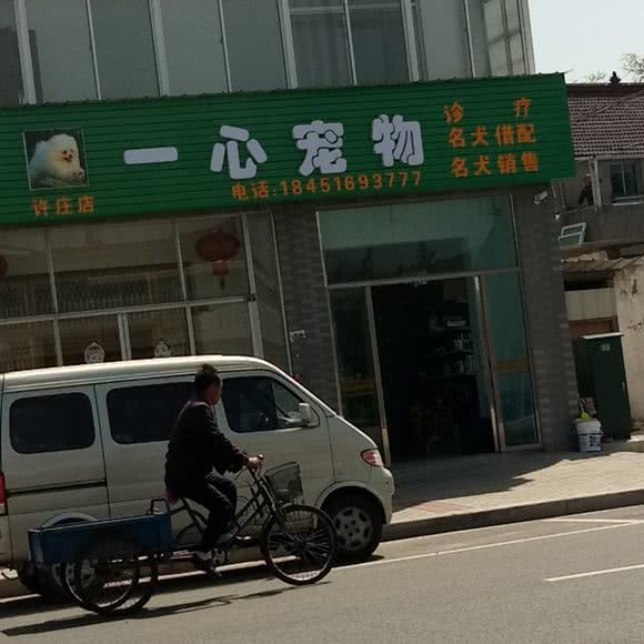 一心宠物(许庄店):泰州市高港区汽车站附近