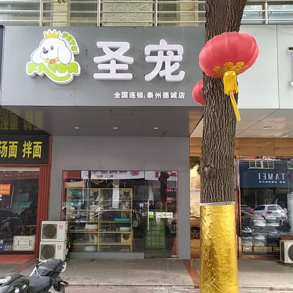 圣宠(泰州德诚店):泰州市靖江市靖城街道附近