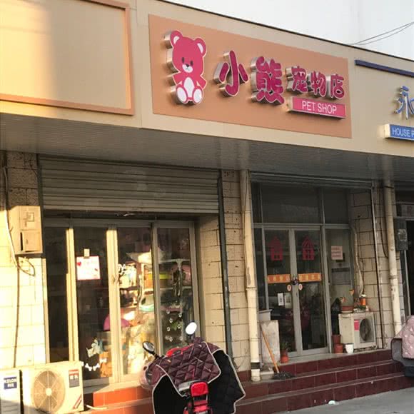 小熊宠物:泰州市靖江市靖城街道附近