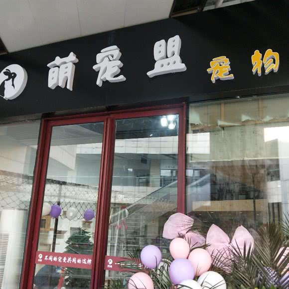 二毛狗狗:宿迁市宿城区金鹰天地广场附近