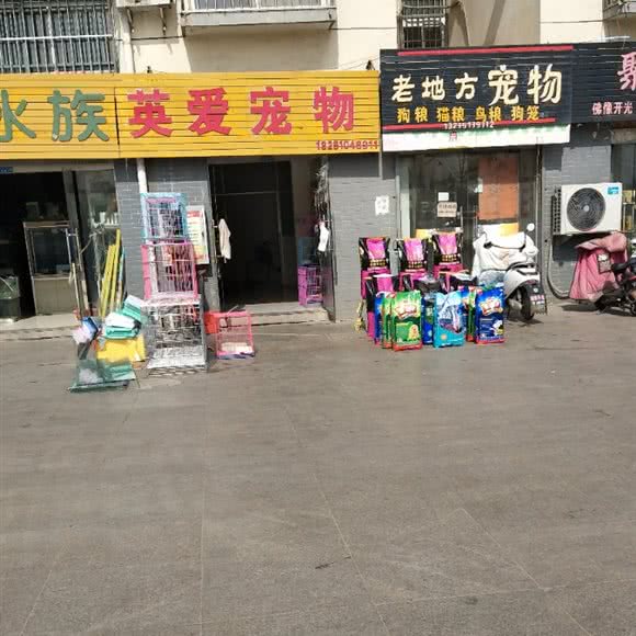 英爱宠物:宿迁市宿城区项王故里附近