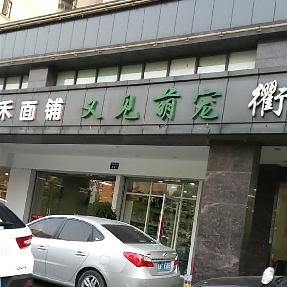 便见萌宠:杭州市上城区城东附近