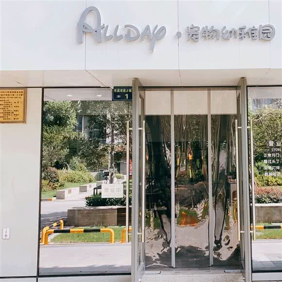 ALL DAY宠物幼稚园(新天地店):杭州市上城区城东附近