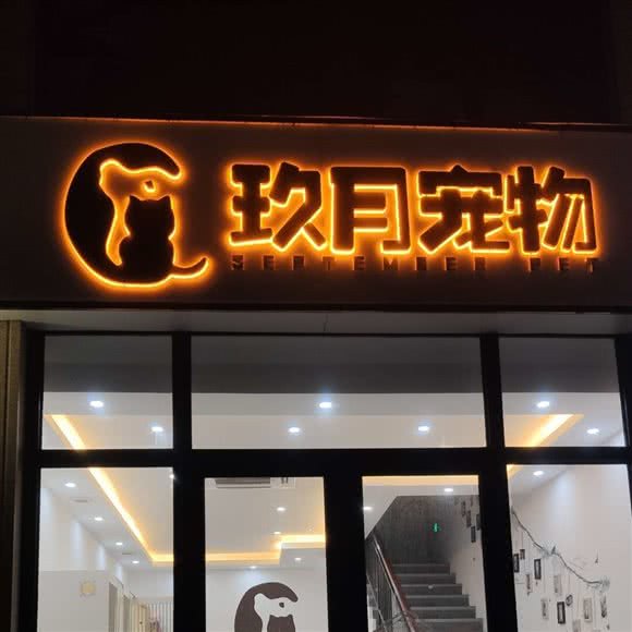 玖月宠物店:杭州市上城区城东附近