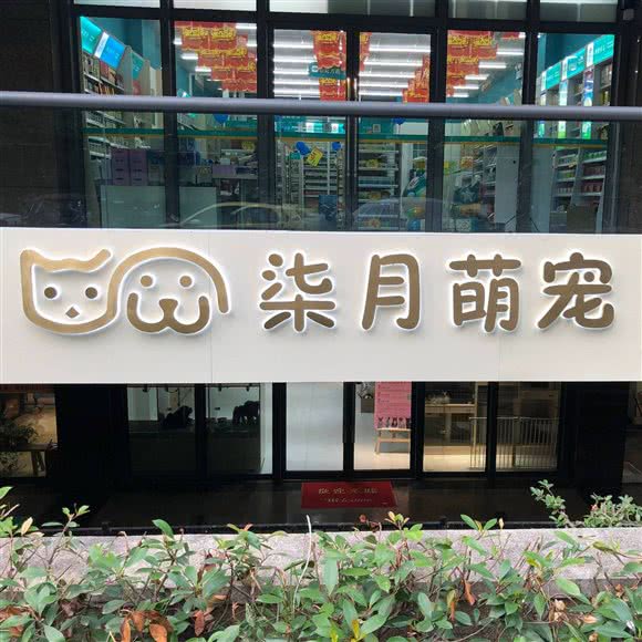 柒月萌宠(庆谐店):杭州市上城区城东附近