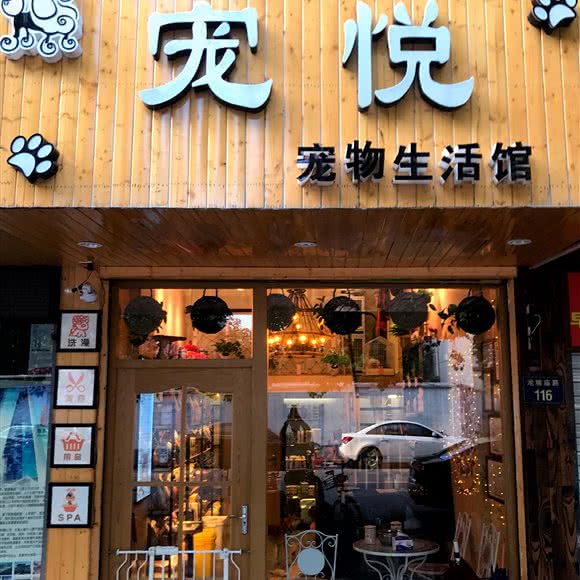 宠悦宠物生活馆:杭州市上城区城东附近