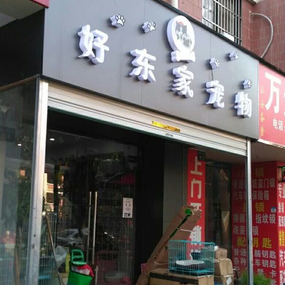 好东家宠物:杭州市上城区城东附近