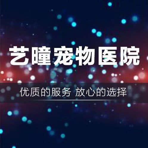 艺曈宠物医院24小时:杭州市上城区城东附近
