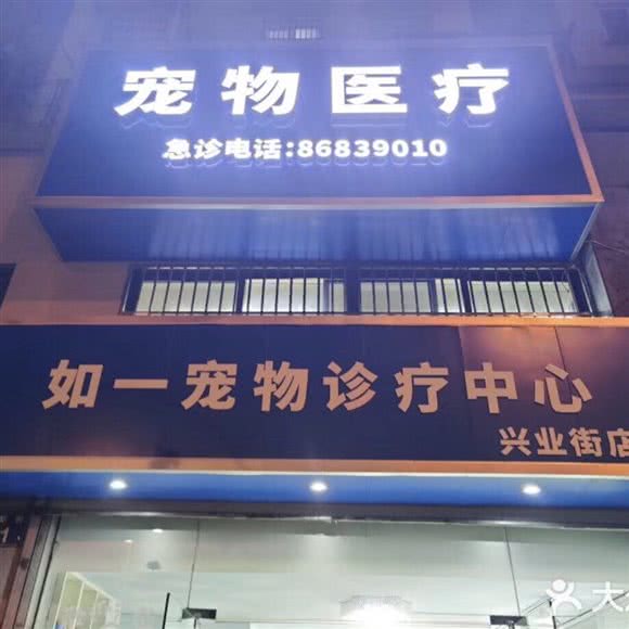 如一动物医院 24小时:杭州市上城区城东附近