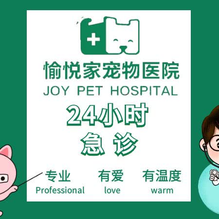 愉悦家宠物医院24小时急诊(景芳店):杭州市上城区城东附近