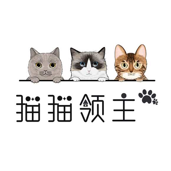 猫猫领主(尚城利星店):杭州市上城区吴山广场/河坊街附近