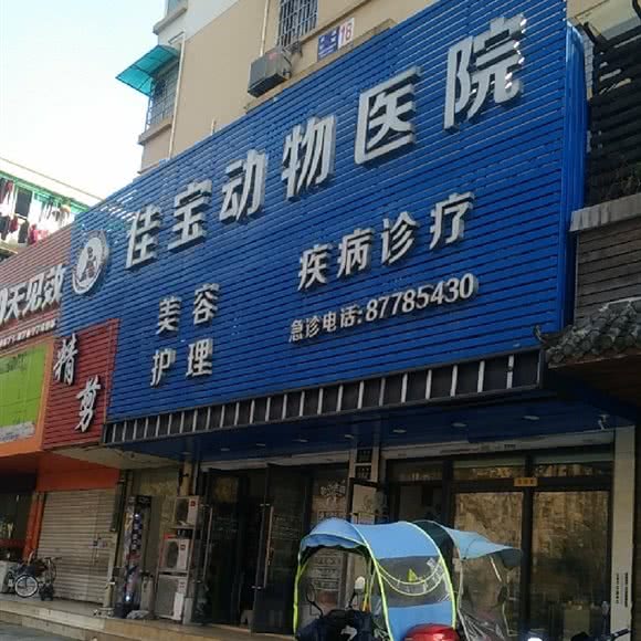 佳宝动物医院(江城路店):杭州市上城区吴山广场/河坊街附近
