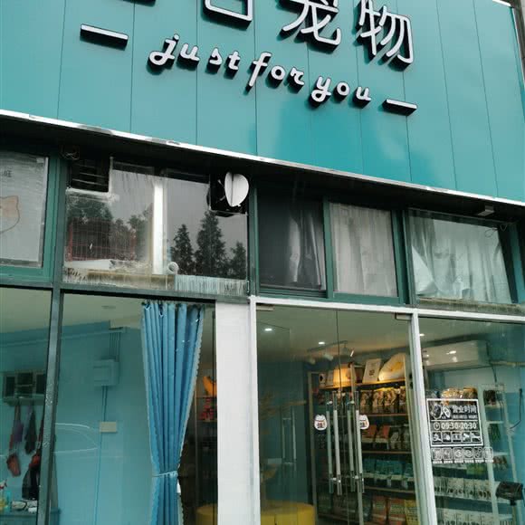 合石宠物:杭州市上城区钱江新城/四季青附近