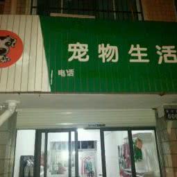 新成员宠物狗生活馆:杭州市上城区万泰城附近