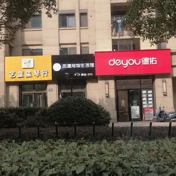 觅遇宠物生活:杭州市上城区天城路沿线附近